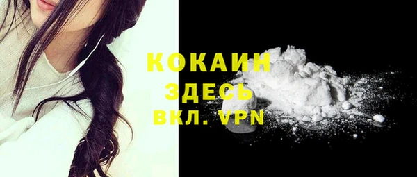 ПСИЛОЦИБИНОВЫЕ ГРИБЫ Новозыбков