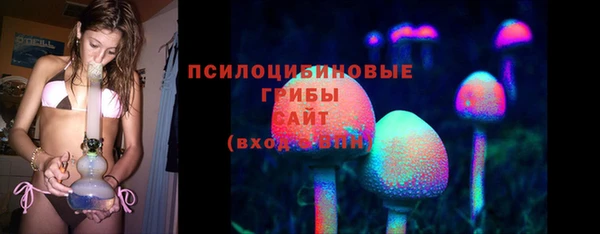 индика Горняк