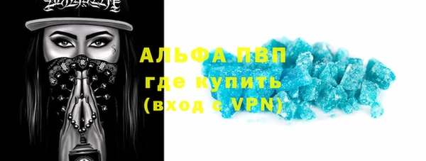 ПСИЛОЦИБИНОВЫЕ ГРИБЫ Новозыбков