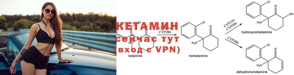 ПСИЛОЦИБИНОВЫЕ ГРИБЫ Новозыбков