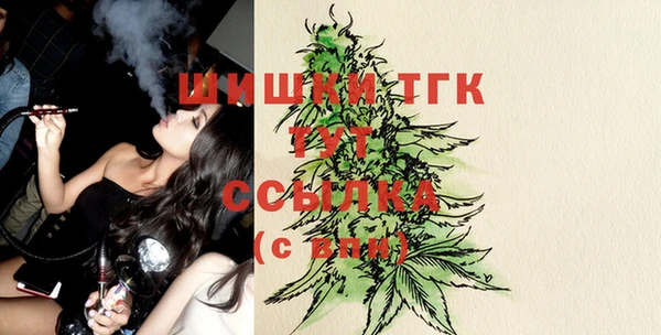 ПСИЛОЦИБИНОВЫЕ ГРИБЫ Новозыбков