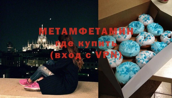 ПСИЛОЦИБИНОВЫЕ ГРИБЫ Новозыбков