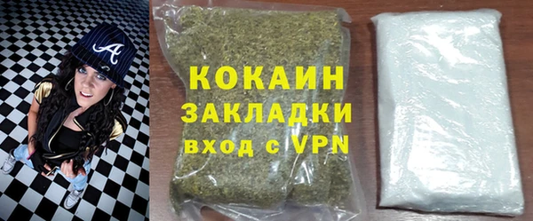 ПСИЛОЦИБИНОВЫЕ ГРИБЫ Новозыбков