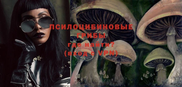 ПСИЛОЦИБИНОВЫЕ ГРИБЫ Новозыбков