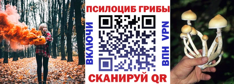 Галлюциногенные грибы MAGIC MUSHROOMS  Лабинск 