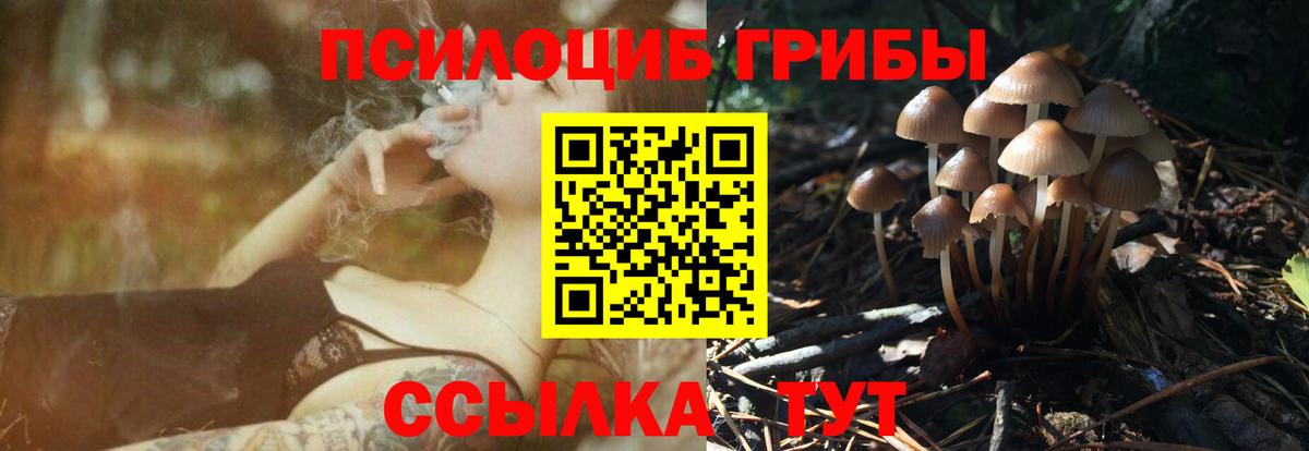 Псилоцибиновые грибы Psilocybine cubensis  Вход с VPN  Лабинск 